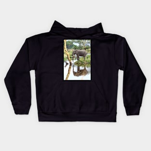 African Elephant, Serengeti National Park, Tanzania. Kids Hoodie